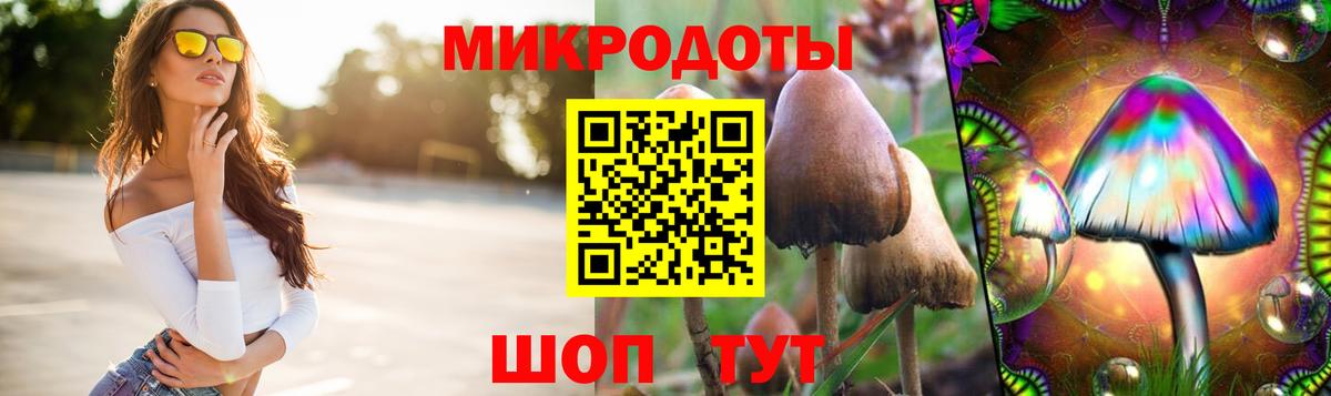 Кизилюрт  Псилоцибиновые грибы прущие грибы  Псилоцибиновые грибы Psilocybine cubensis  Вход с VPN 